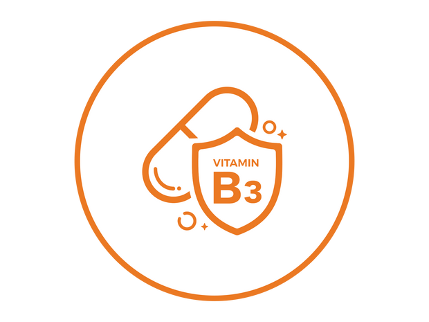 Vitamin B3 (Niacinamid) 